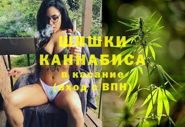 spice Абаза