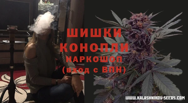 spice Абаза