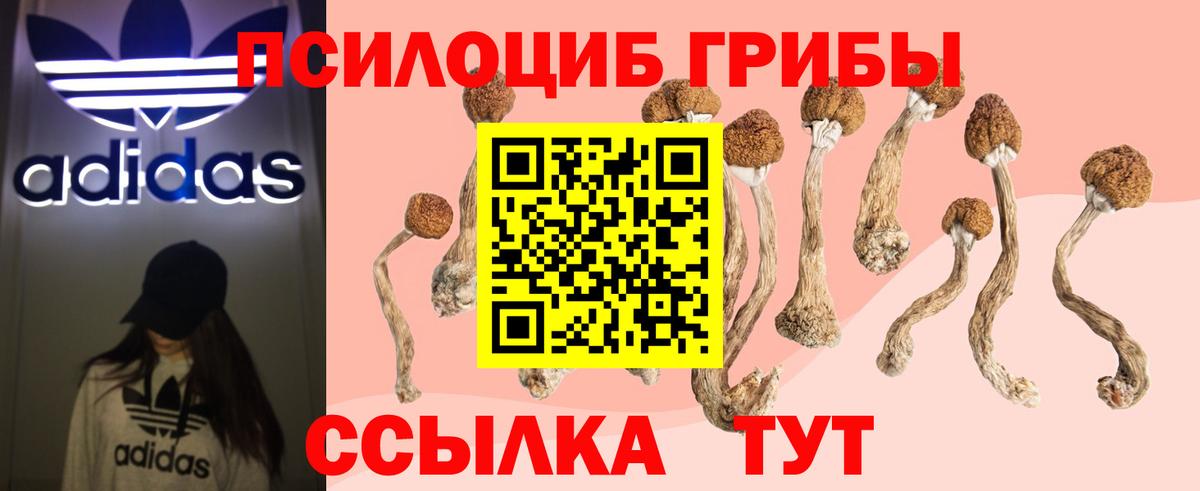 Стрежевой  Псилоцибиновые грибы прущие грибы  Вход с VPN  Галлюциногенные грибы Magic Shrooms 